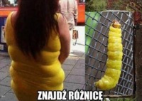 Znajdź różnice! ;D