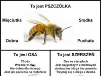 Znaj różnicę!