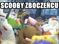 Scooby jedzie