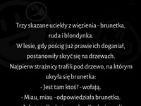 Brunetka i ruda sobie poradzą po ucieczce z więzienia, ale blondynka jak zwykle, okaz GŁUPOTY :D