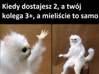 Mieliście to samo