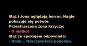 Maż i żona oglądają horror! To musiało się tak skończyć :D