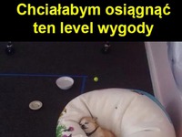 Level wygody