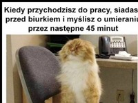 KUŹWA