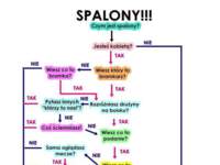 Spalony!!