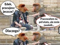 Najlepsze :) Edek mistrz xD Koniecznie trzeba zobaczyć, dlaczego go zwolnili..