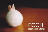 Foch forever na 5 minut