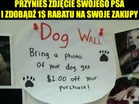 Ściana psów XD