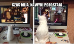 Nawyki pozostają