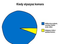 Nocny problem