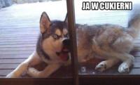Ja w cukierni :D