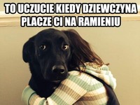 Kiedy laska płacze ci na ramieniu a ty... XD