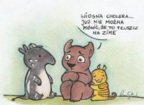 Już nie można