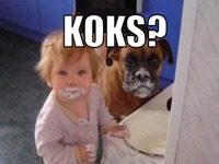 KOKS