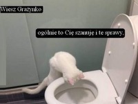 Szanuję Cię Grażynko