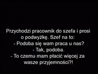 Pracownik poprosił szefa o podwyżkę i nie zgadniecie co XD szef oczywiście sie wykręca ale w jakim stylu!!!