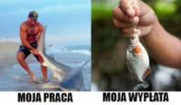 Praca.