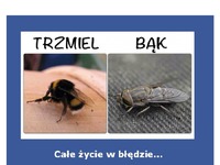 Całe życie żyłem w błędzie! Zobacz może Ty też tak myślałeś.... ;D