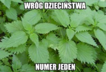 Wróg dzieciństwa