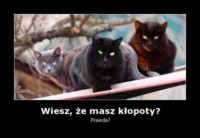 Wiesz, że masz kłopoty? Prawda? :P