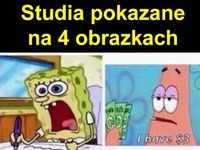 Studia takie są