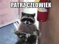 Patrz człowiek