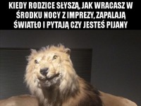 Jak wracasz z imprezy