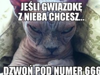 Dzwoń pod numer