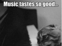 Music tastes so good... :D