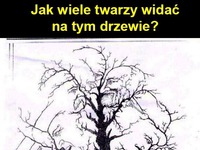 Mały test. Ile twarzy widzisz. ;)