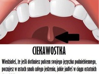 Wiesz do czego to służy Ma specjalne zadanie, które pozwoli Ci na