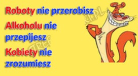 Nie przerobisz