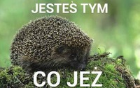 Co jeż