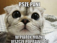 Psze pani ;)