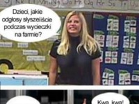 Odgłosy na farmie :-)