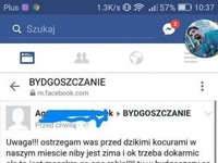 UWAGA Bydgoszczanie, mieszkanka ostrzega przed niebezpiecznymi stworami grasującymi w okolicy :D