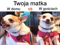 MATKI TAKIE SĄ