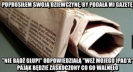 Biedny pająk