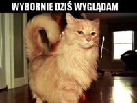 Wybornie wyglądam