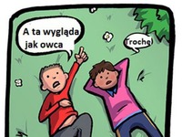 Owca