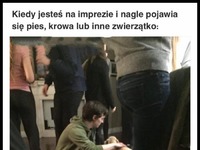 Jakbym widział siebie XD