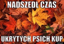 nadszedł czas