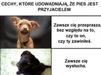 Kolejne dowody na to, że pies jest lepszy od kota :D