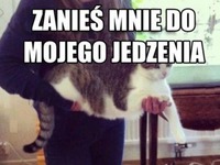 Zanieś mnie do mojego jedzenia