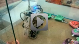 Robot oszustem z Chin