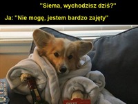 Nie wychodzę