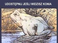 Ja widzę!