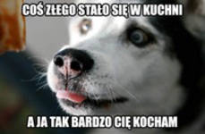 Stało się coś strasznego