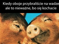 Słodziaki