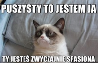 Puszysty